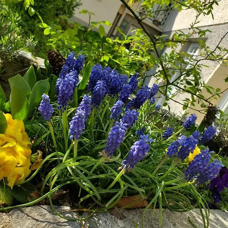 Διαμέρισμα Leopoldskron *